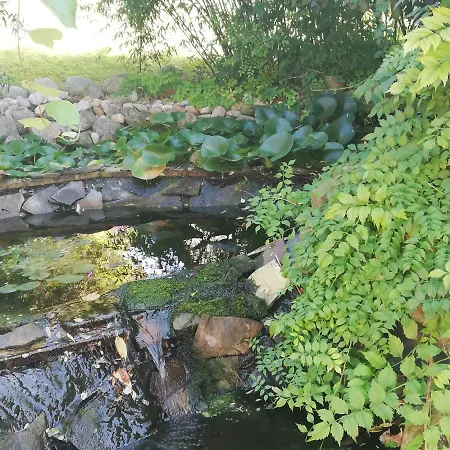 Gasthof Rezident Consult S.r.o.