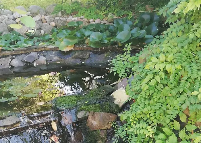 Maison d'hôtes Rezident Consult S.r.o.